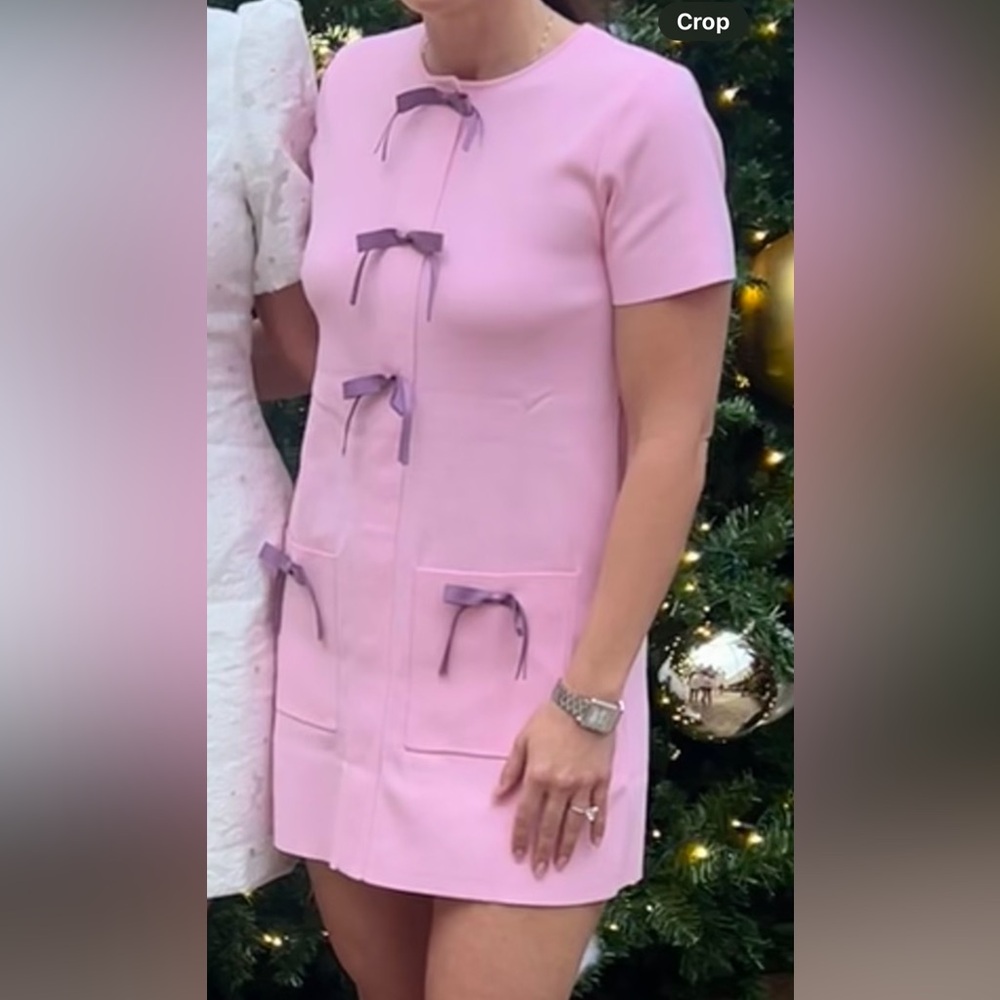 Zara Pink  Dress with Purple bow Accents